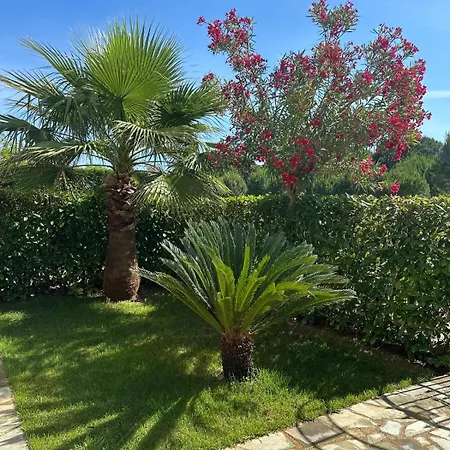 Gjiri I Lalzit Lura 3 Toni