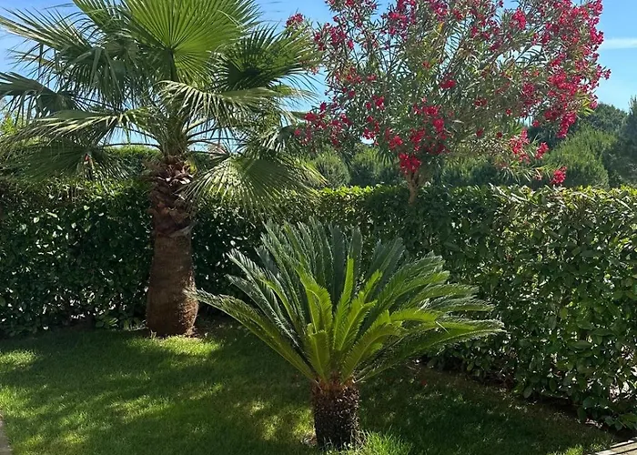 Gjiri I Lalzit Lura 3 Toni