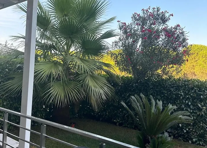 Gjiri I Lalzit Lura 3 Toni Daire